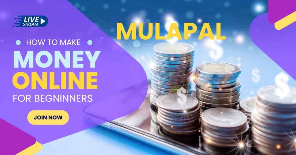 🇿🇦 MulaPal Agencies South Africa – Unlock Your Digital Wealth Today!